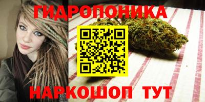 молекула духа Партизанск