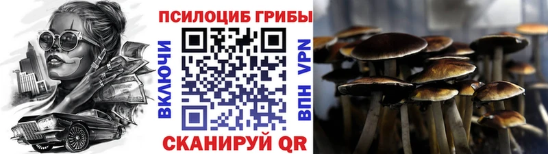 Псилоцибиновые грибы GOLDEN TEACHER  omg tor  Родники  купить  